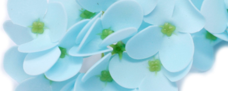 Fleurs de savon jacinthes bleu clair