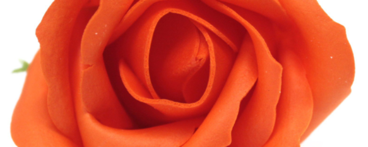 Fleurs de savon roses médiums orange foncés