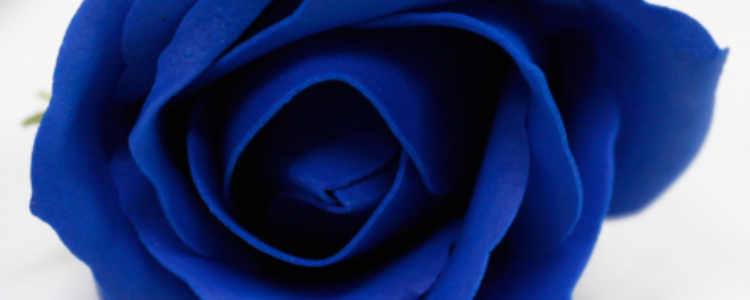 Fleurs de savon roses médiums bleu indigo